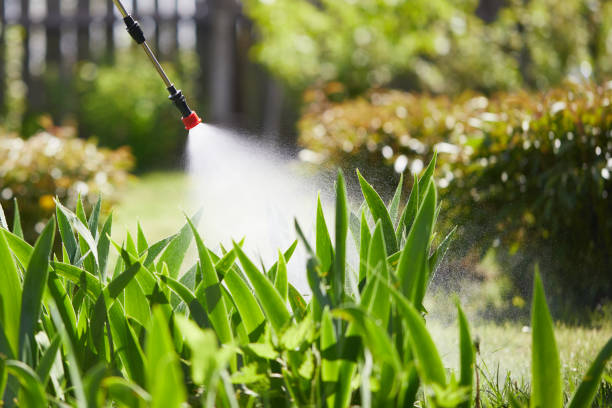 24/7 Emergency Bed Bug Control experts in Fairmount, GA