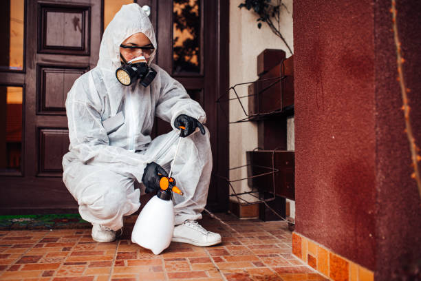 Reliable Bed Bug Control contractor in Fairmount, GA by Nex Pest Control